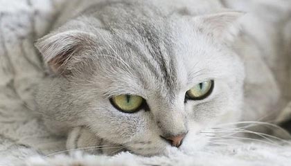 亚博：引领数字娱乐的新纪元